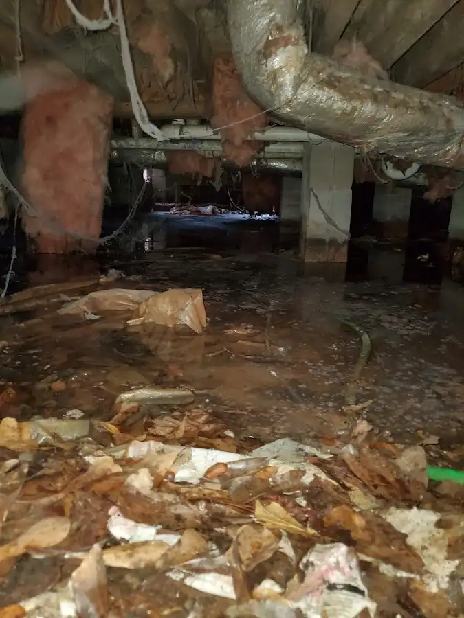 Crawl space flood assessment for Leak Detection & Repair in Sunnyvale